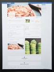 The Perfect Slice: Facebook by Riley Blindt, '13