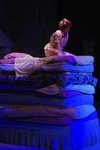 Once Upon a Mattress, 365 by Marc Featherly